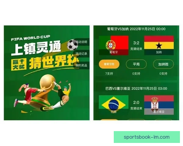 世界杯竞猜网站新手指南与投注技巧解析助你轻松提升预测胜率